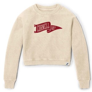 Cornell Pennant Crop Top