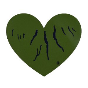 Green Heart Finger Lakes Magnet Large