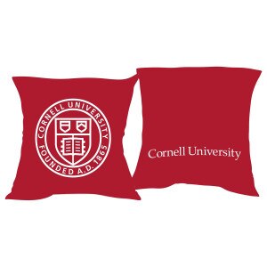 Cornell Seal Chenille Pillow