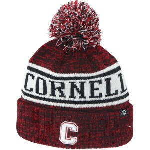 Knit In Cornell Block C Beanie