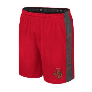 Bear Through C with Mesh Side Shorts