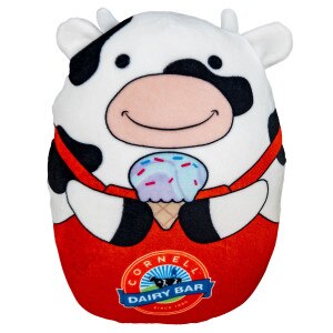 Cornell Dairy Bar Squishy Pillow 12"