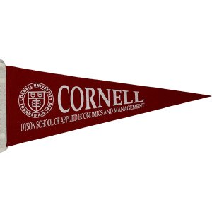 Cornell Dyson School Pennant 9x24