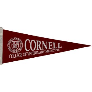 Cornell Veterinary Medicine Pennant 9x24