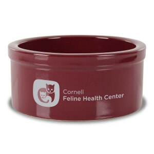 Cornell Feline Health Center Stoneware Pet Bowl-Small