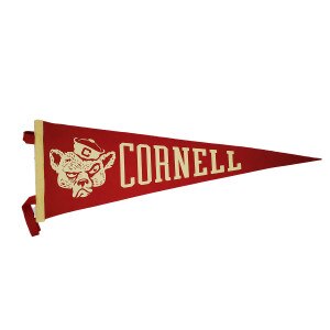 Oxford Pennant 9"x27" Grumpy Bear Pennant