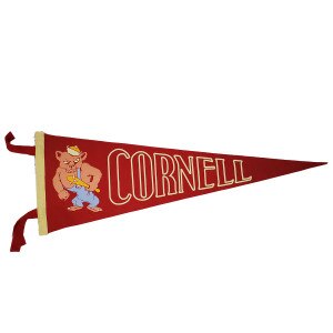 Oxford Pennant 9"x27" Bib Bear Pennant