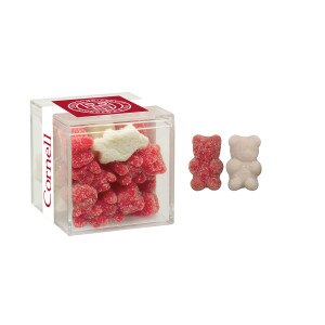 Cornell Acrylic Cube w/ Gummy Bears