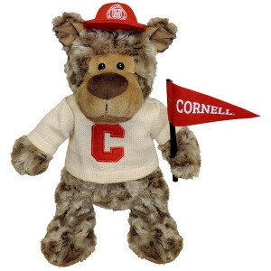 Touchdown Bear Plush