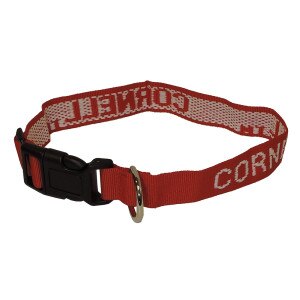 Large Dog Collar
